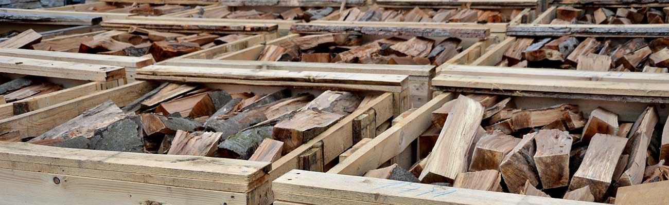 LKW Ladung Brennholz